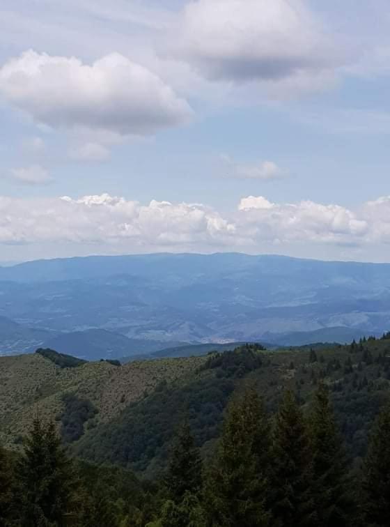 Vila Irina - Apartman Milos Kopaonik Zewnętrze zdjęcie