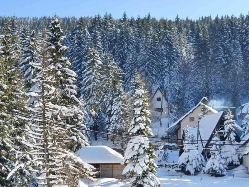 Vila Irina - Apartman Milos Kopaonik Zewnętrze zdjęcie