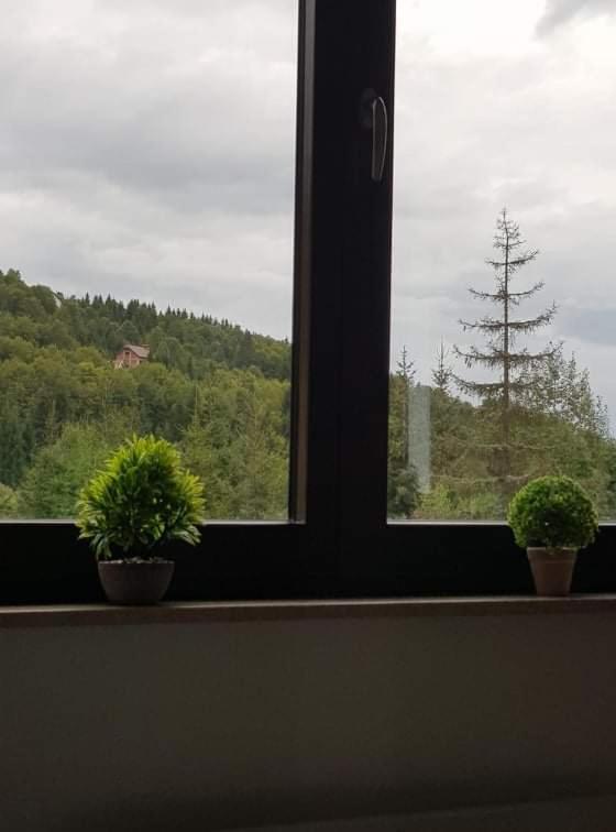 Vila Irina - Apartman Milos Kopaonik Zewnętrze zdjęcie