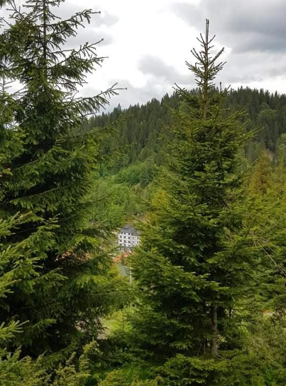Vila Irina - Apartman Milos Kopaonik Zewnętrze zdjęcie