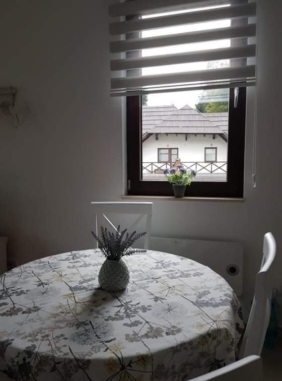 Vila Irina - Apartman Milos Kopaonik Zewnętrze zdjęcie