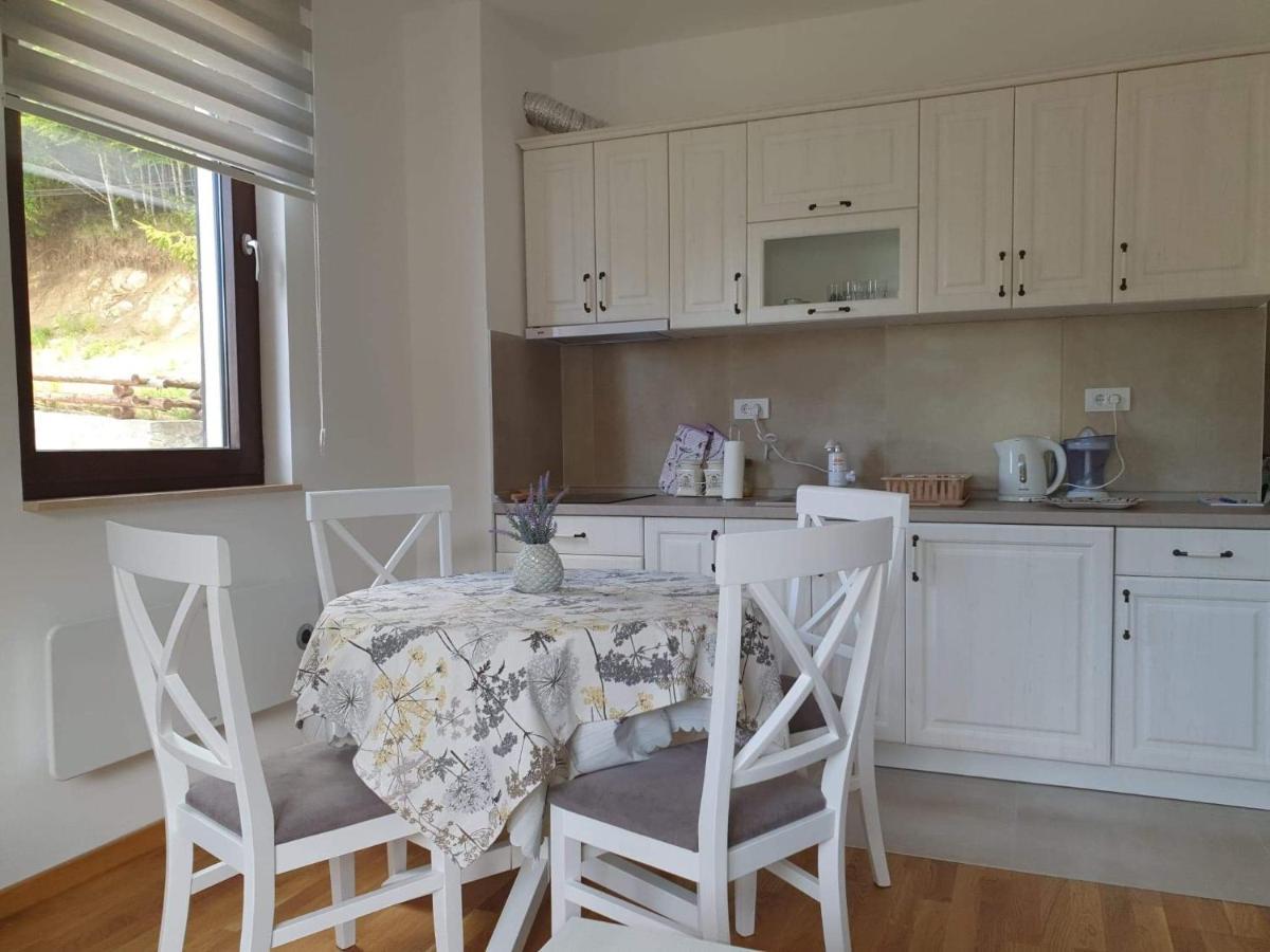 Vila Irina - Apartman Milos Kopaonik Zewnętrze zdjęcie